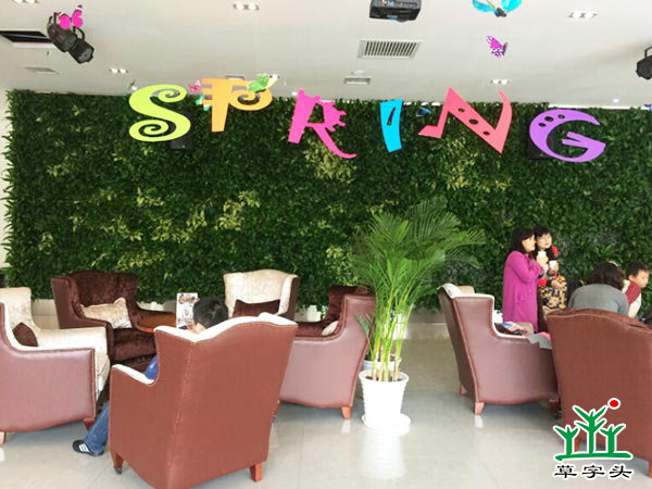 長(zhǎng)沙陽(yáng)光100——立體綠化、垂直綠化、墻體綠化、植物墻