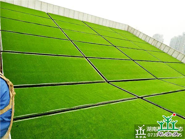 湘潭市博物館與規(guī)劃館，屋頂人造草皮綠化施工案例