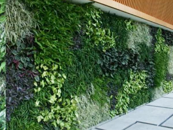 湖南草字頭生態(tài)環(huán)境建設(shè)有限公司,人造草坪假草皮,湖南雨水收集處理工藝 湖南草字頭生態(tài)環(huán)境建設(shè)有限公司,人造草坪假草皮,湖南雨水收集處理工藝