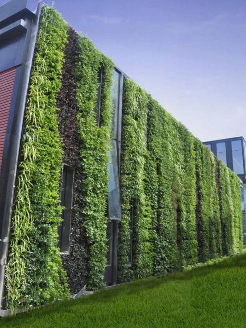 湖南草字頭生態(tài)環(huán)境建設有限公司,人造草坪假草皮,湖南雨水收集處理工藝 湖南草字頭生態(tài)環(huán)境建設有限公司,人造草坪假草皮,湖南雨水收集處理工藝