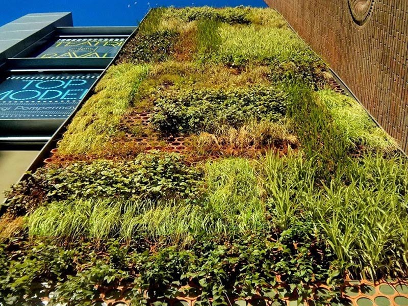 湖南草字頭生態(tài)環(huán)境建設(shè)有限公司,人造草坪假草皮,湖南雨水收集處理工藝 湖南草字頭生態(tài)環(huán)境建設(shè)有限公司,人造草坪假草皮,湖南雨水收集處理工藝
