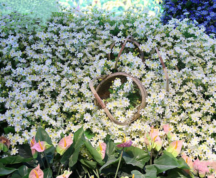 湖南草字頭生態(tài)環(huán)境建設(shè)有限公司,人造草坪假草皮,湖南雨水收集處理工藝 湖南草字頭生態(tài)環(huán)境建設(shè)有限公司,人造草坪假草皮,湖南雨水收集處理工藝