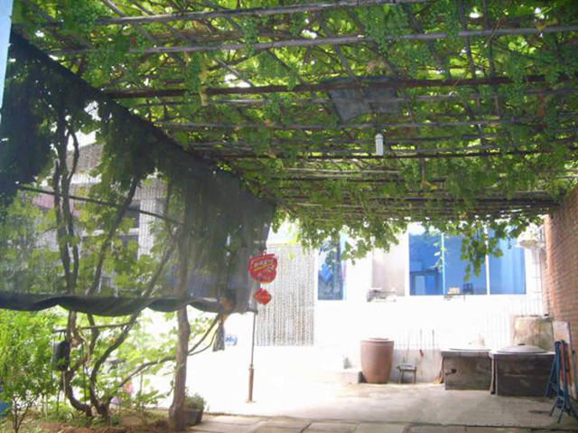 湖南草字頭生態(tài)環(huán)境建設(shè)有限公司,人造草坪假草皮,湖南雨水收集處理工藝 湖南草字頭生態(tài)環(huán)境建設(shè)有限公司,人造草坪假草皮,湖南雨水收集處理工藝