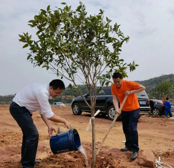 湖南草字頭生態(tài)環(huán)境建設有限公司,人造草坪假草皮,湖南雨水收集處理工藝