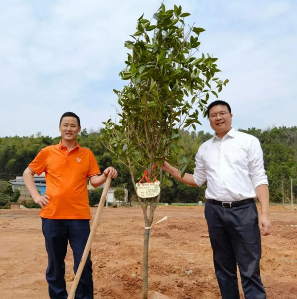 湖南草字頭生態(tài)環(huán)境建設有限公司,人造草坪假草皮,湖南雨水收集處理工藝