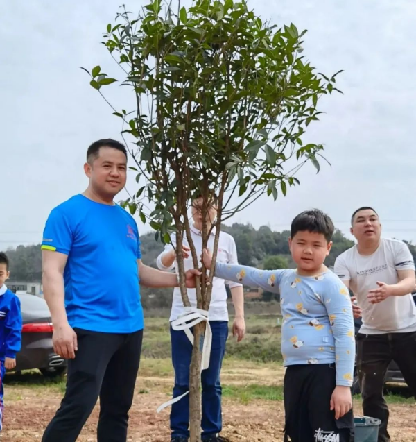 湖南草字頭生態(tài)環(huán)境建設有限公司,人造草坪假草皮,湖南雨水收集處理工藝